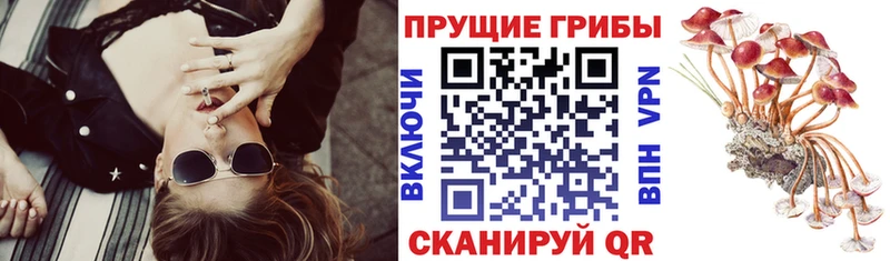 Псилоцибиновые грибы MAGIC MUSHROOMS Бронницы