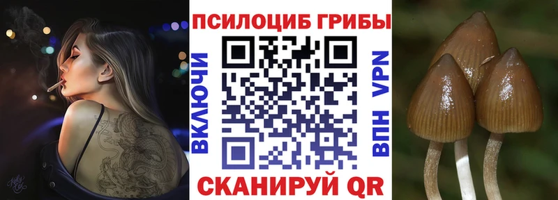 Галлюциногенные грибы мицелий  Бронницы 